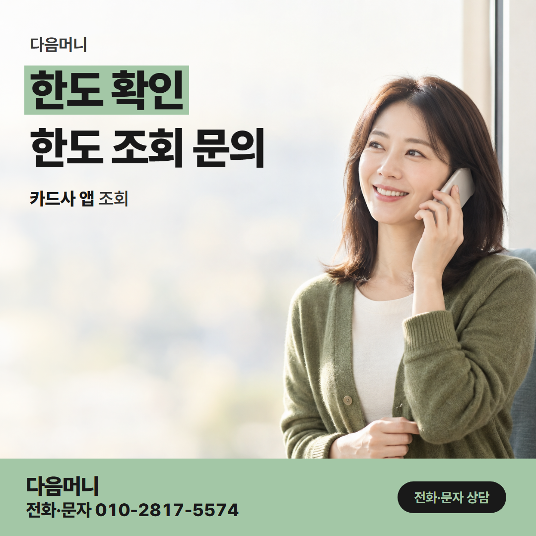 다음머니 현금 카드깡 카드사 앱에서 남은 한도를 조회하는 고객